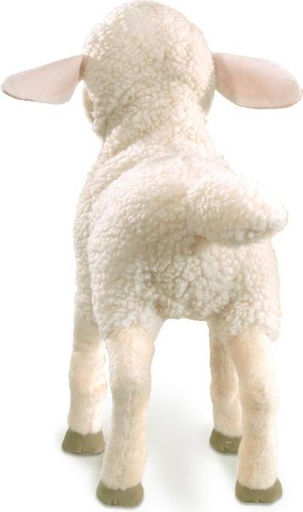 Actual product image Folkmanis lamb