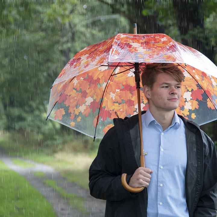 Image du produit Esschert Design Parapluie Couronne d'arbre Automne