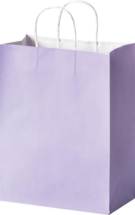 Immagine prodotto Folia Papiertüten L BASIC, aus 110g/m² Kraftpapier