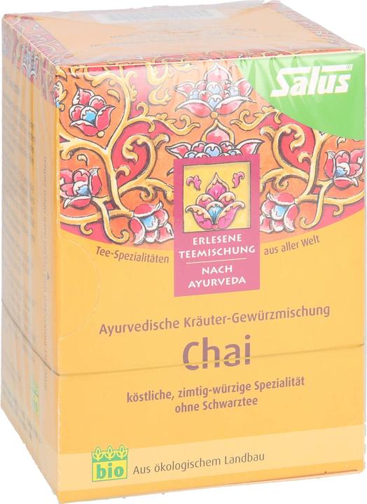 Produktbild Salus Chai-Tee bio, 15 St. Filterbeutel (30 g)