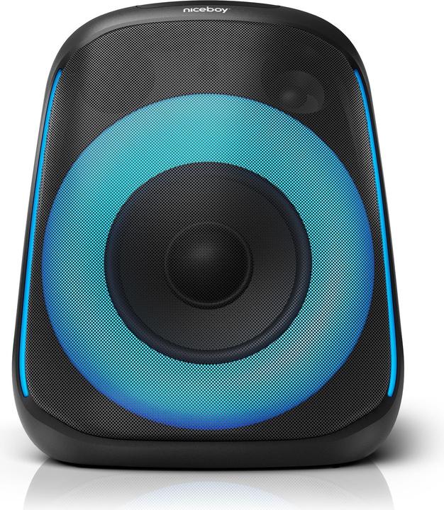 Actual product image Niceboy PARTY Boom 80W (10 h, Electrical connection)