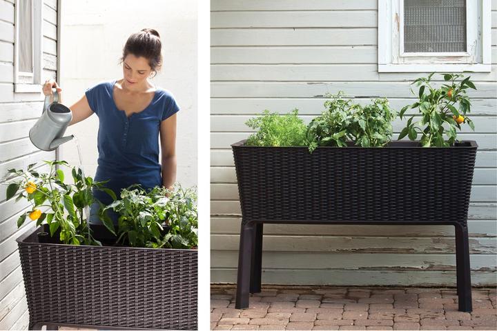 Actual product image Keter Easy Growing