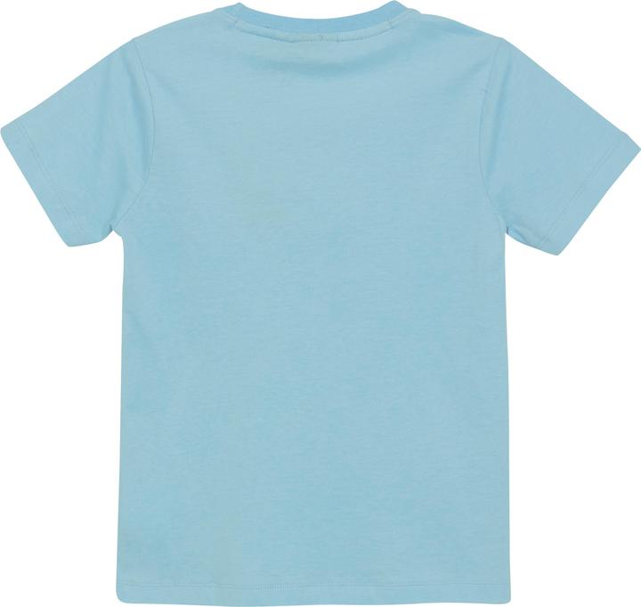 Actual product image Color Kids Kid's T-Shirt with Print S/S (164)