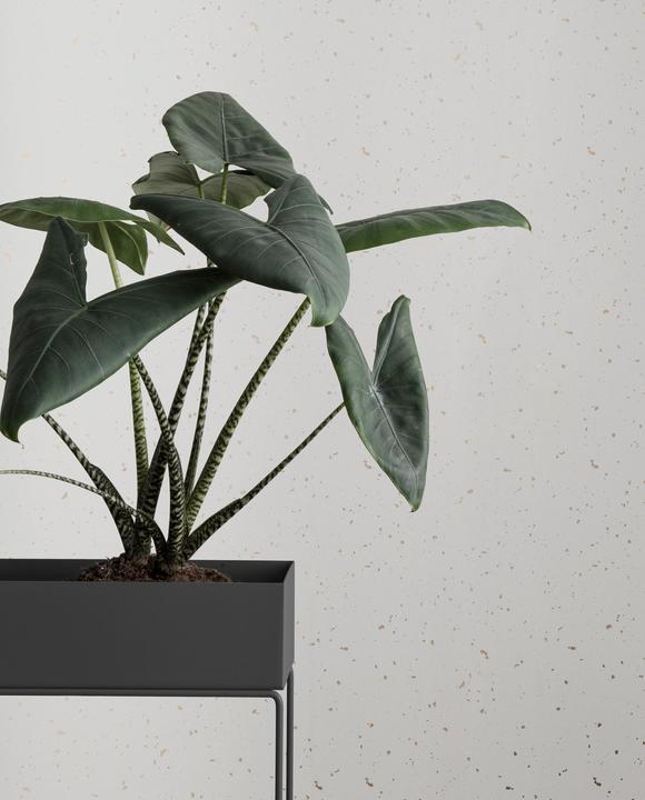 Actual product image Ferm Living Plant Box