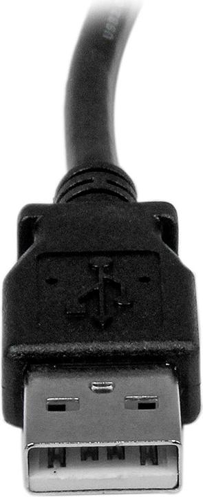 Image du produit StarTech Câble USB 2.0 A vers B (2 m, USB 2.0)