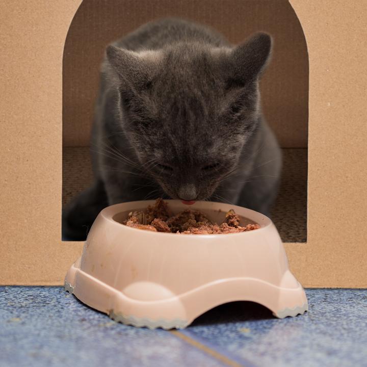 Actual product image Relaxdays Cat house (Cat)