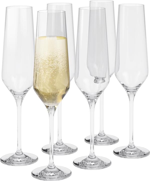 Actual product image Eva Solo Champagne glass Legio Nova 260 ml, 6 pieces, Transparent (26 cl, 6 Glasses, Champagne glasses)