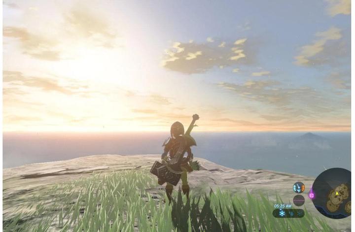 Image du produit Nintendo The Legend Of Zelda : Breath Of The Wild (en anglais) (Switch, Multilingue)