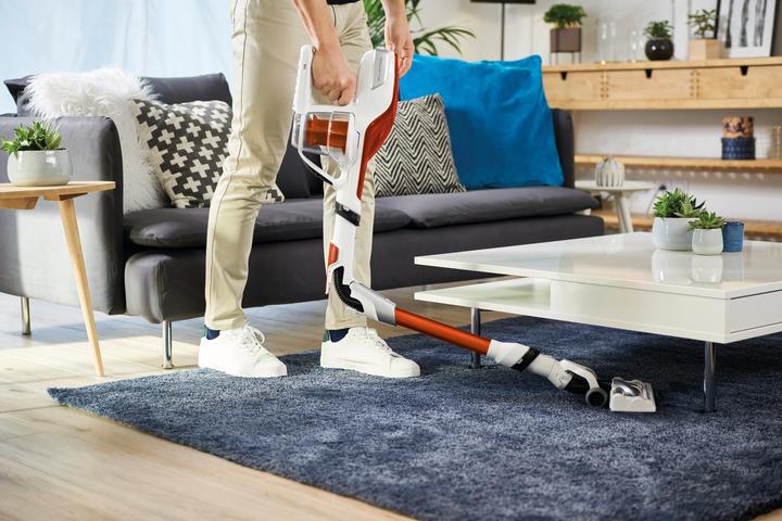 Actual product image Rowenta Air Force Flex Power 560