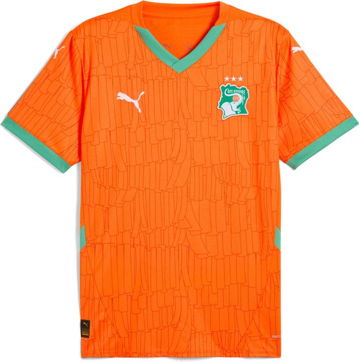 Actual product image Puma FIF Home Jersey Replica (S)