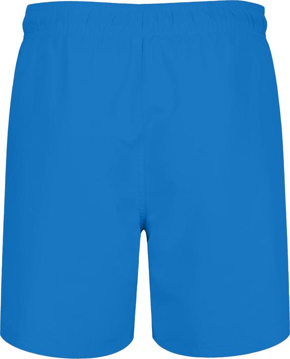 Actual product image Ript Essentials Mens Swim Shorts (S)