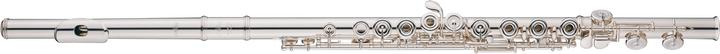 Actual product image Altus transverse flute C foot, Inl. (flute)