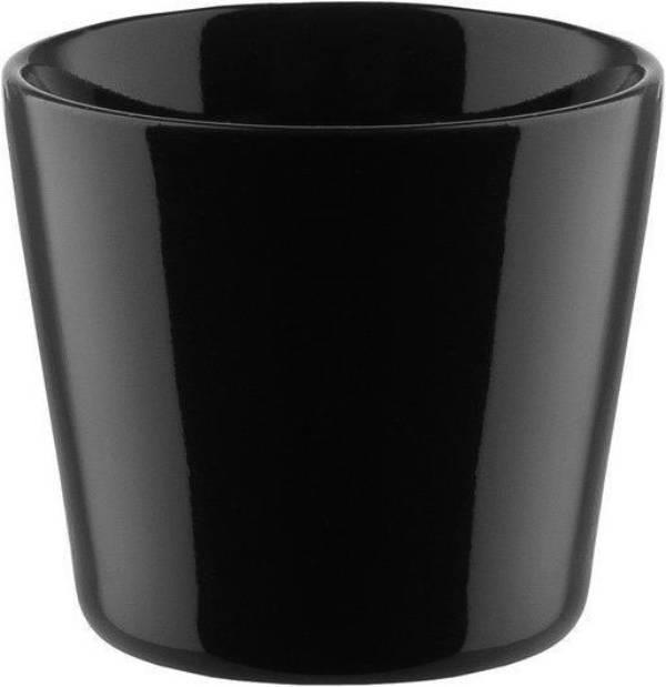 Tonals (80 ml, 1 x)