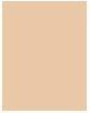 Produktbild Shiseido Synchro Skin Self Refreshing Powder Fond de Teint No 110 (110 Alabaster)