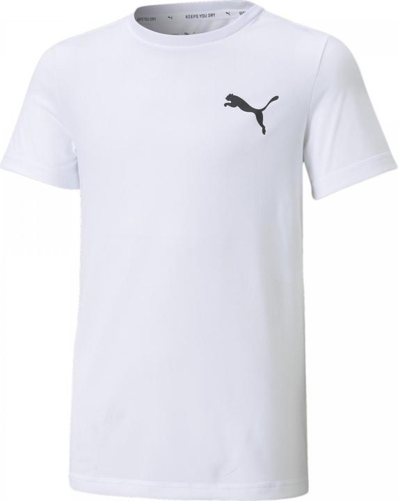 Actual product image Puma ACTIVE Small Logo Tee-586980 (164)