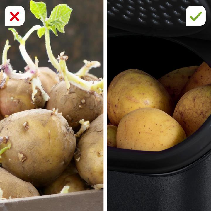 Actual product image MediaShop Tupperware PotatoSmart, OnionSmart & GarlicSmart