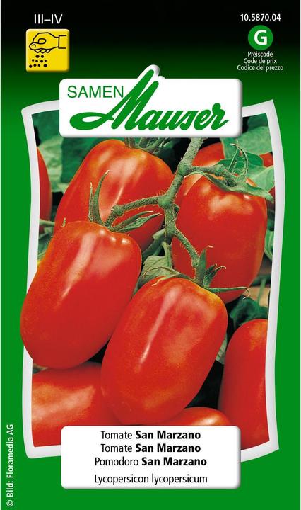 Samen Mauser San Marzano (Gemüsesamen)