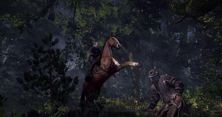 Immagine prodotto Bandai Namco The Witcher 3: Wild Hunt Game of the Year Edition, Xbox One (Xbox One S, EN)