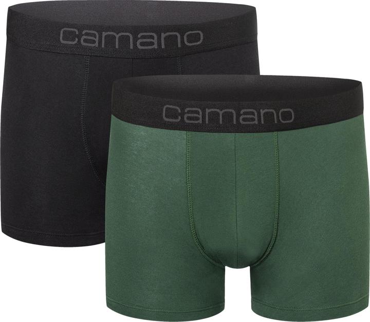 Sycamore Green