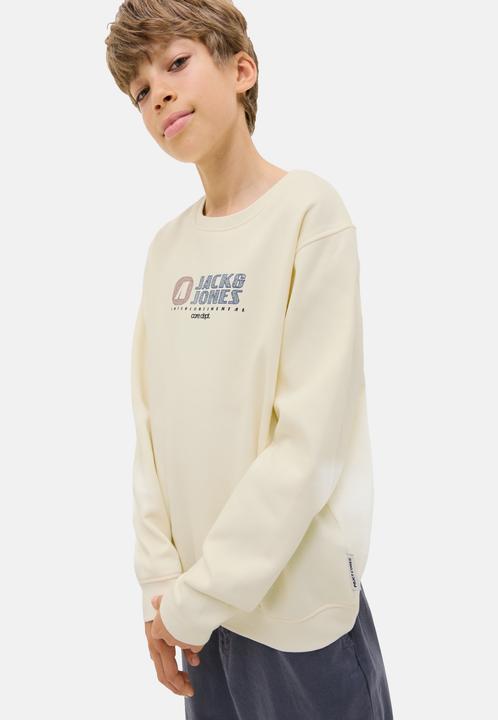 Actual product image Jack & Jones Jcotier Print Sweat Crew Neck Sn Jnr (176)