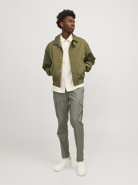 Actual product image Jack & Jones Cargo fit carrot trousers Carrot trousers (W29/L32)