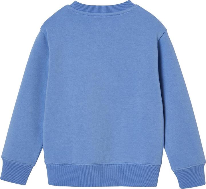 Actual product image Vertbaudet Jungen Sweatshirt BASIC mit Print und Recycling-Polyester (110)