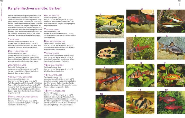 Actual product image Das grosse Praxishandbuch Aquarium (German, Ulrich Schliewen, 2017)