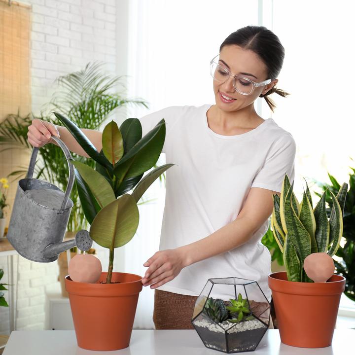 Image du produit Relaxdays 4x boules d'irrigation (Boules d'arrosage)