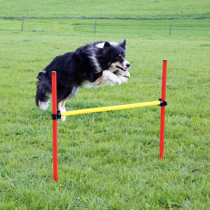 Produktbild Kerbl Komplett-Set (One Size, Agility)