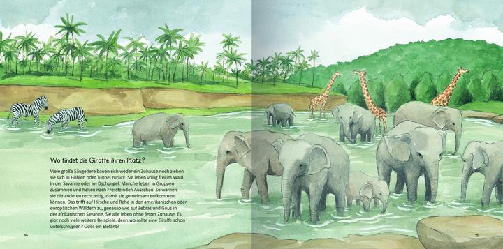 Image du produit Wo die Tiere leben (Allemand)