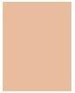 Actual product image Max Factor FF Multi Perfect Concealer No 1N (1N)