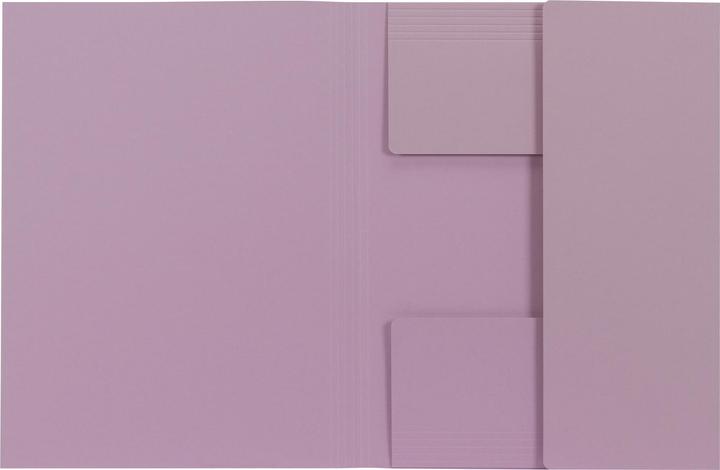 Actual product image Biella File collector Jura Recycolor (A4, 1 x)