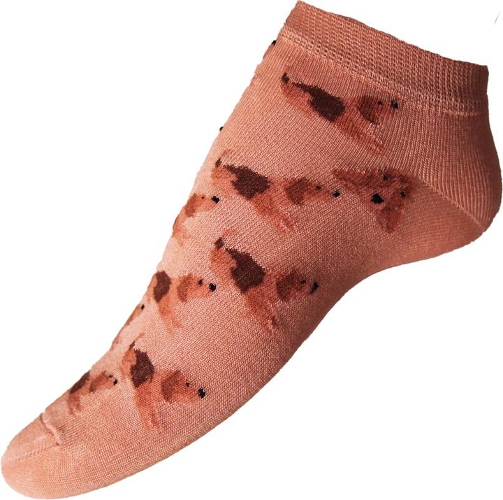 Immagine prodotto Simply Essentials 0 (confezione da 3, 37 - 42)