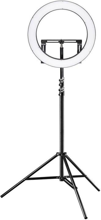 Actual product image Walimex pro per LED ring light 500 BiColor Set (Ring light)