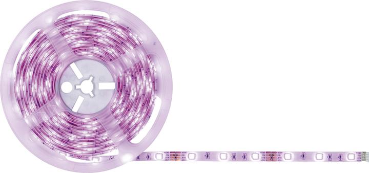 Actual product image Paulmann SimpLED Stripe (RGB, Violet, 500 cm, Indoor)
