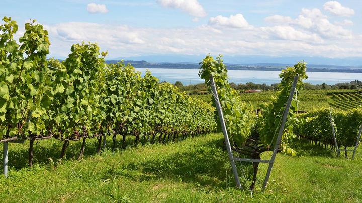 Produktbild Weindegustation für zwei Personen