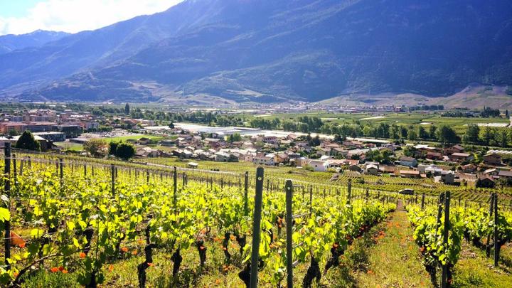 Immagine prodotto Degustazione di vini per 2