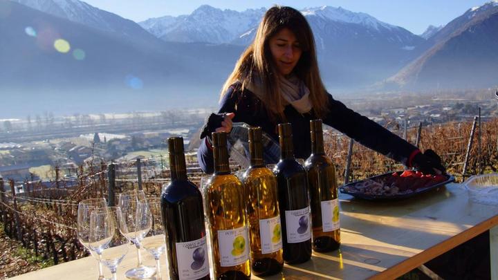 Immagine prodotto Degustazione di vini per 2