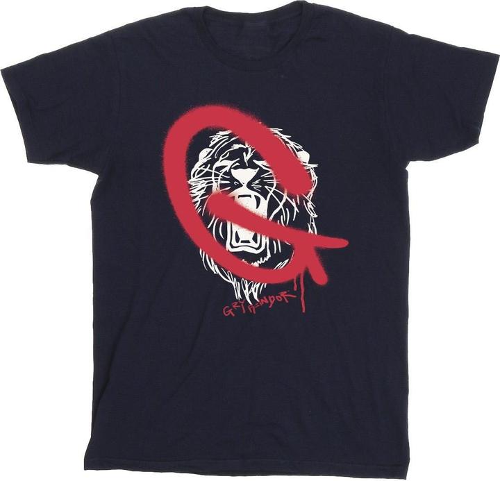 Gryffindor Pop Spray TShirt Jungen
