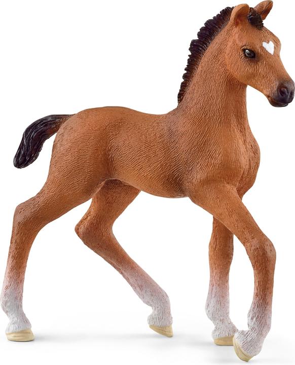 Produktbild Schleich Oldenburger Fohlen