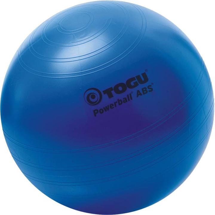 Actual product image Togu Powerball ABS (55 cm)