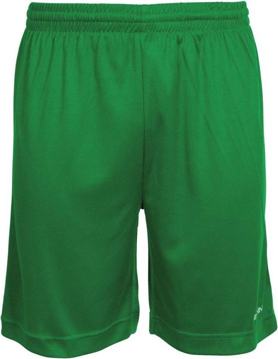 Actual product image Stanno Field shorts (128)