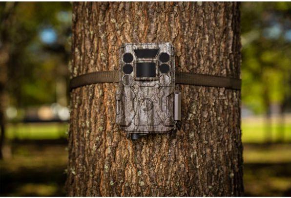 Actual product image Bushnell Core DS No Glow