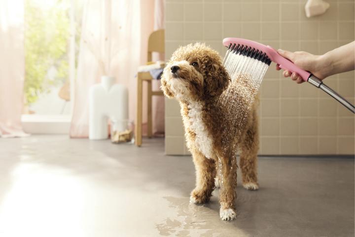 Immagine prodotto hansgrohe DogShower doccia per cani 150 (3 tipi di spray) (3 Tipi di raggi, 7.60 l/min)