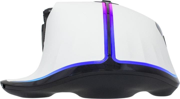 Immagine prodotto White Shark Squalo bianco Marocco (GAMYWHI00015N0) (Cablato)