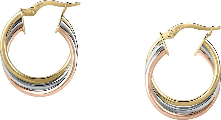 Actual product image Favs Creolen (375 white gold, 375 rose gold, 375 yellow gold)