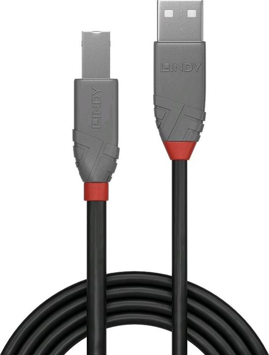 Actual product image Lindy USB/A-USB/B M-M (2 m, USB 2.0)