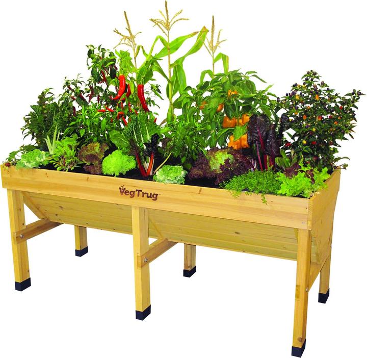 Actual product image VegTrug Plant box