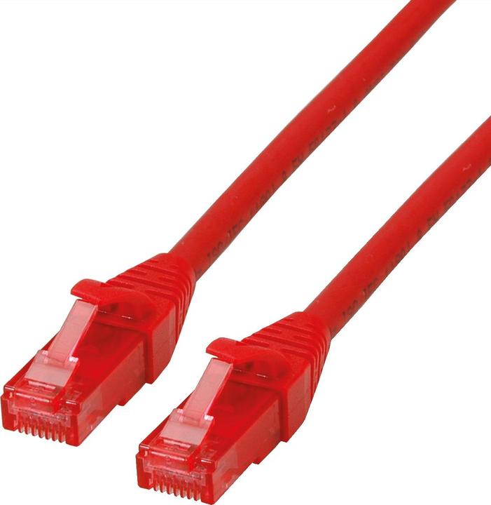 Rot