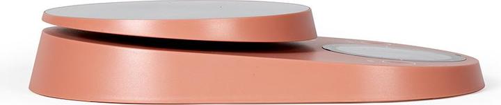 Actual product image Livoo Digital scale